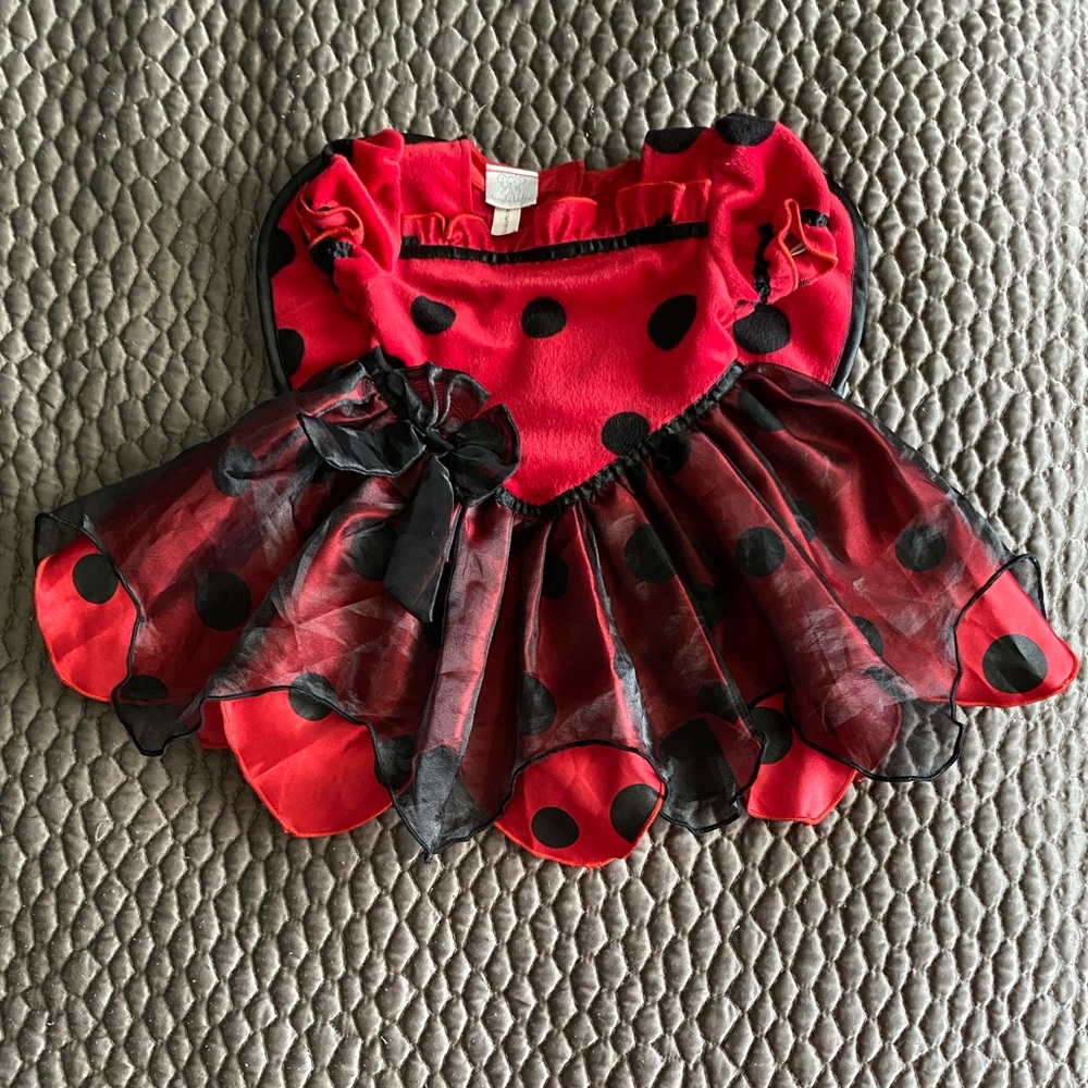 Infant ladybug dress costume. Baby girl 6-9month size.